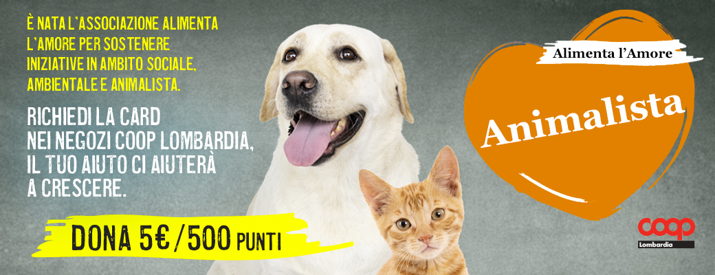 Nel 2024, 10° anniversario di attività, Alimenta l’Amore diventa Associazione, per sostenere iniziative legate al mondo degli animali.